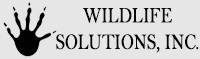 Daphne Wildlife Removal